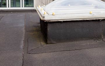 disadvantages of Newby Head flat roofs