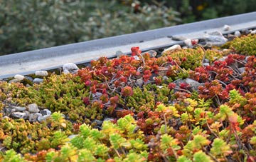 the cost of Newby Head green roof installation