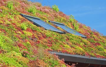 Newby Head living roof systems